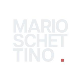 Dr Mario Schettino
