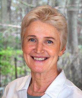 Ilse Van Renterghem