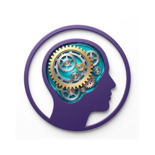 brain & beauty solutions