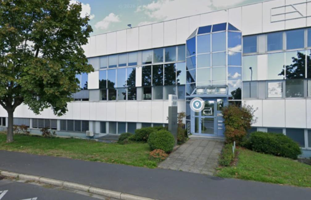 Dizi Skincare Concept
