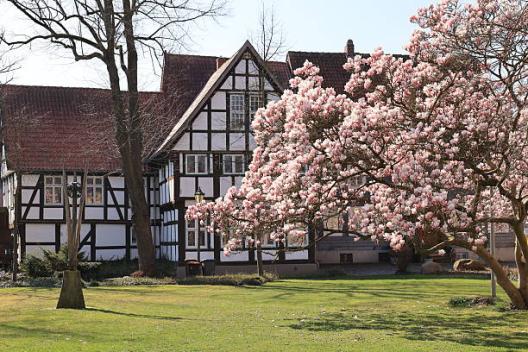 Botox Gütersloh