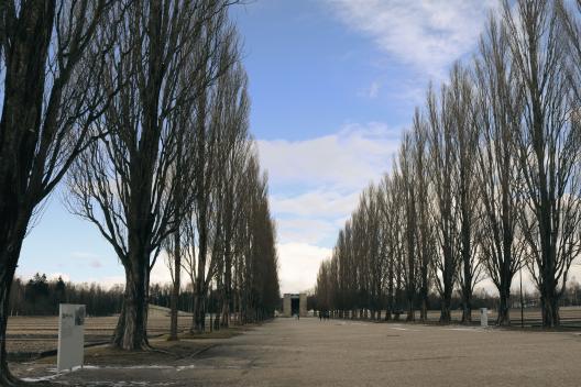 Botox Dachau
