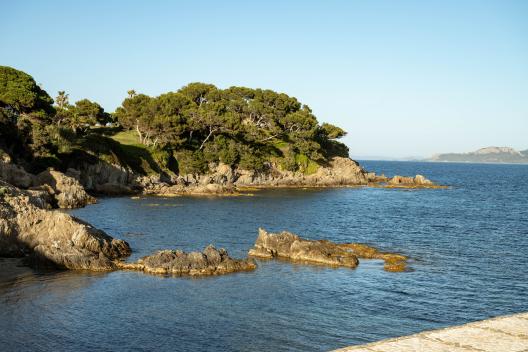 Fillers Hyères