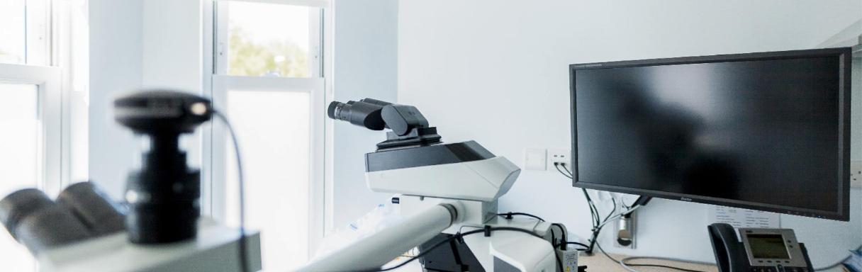 Injectables treatment for wrinkles in Brighton at Brighton Laser & Skin Clinic