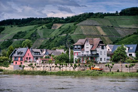 Botox Andernach