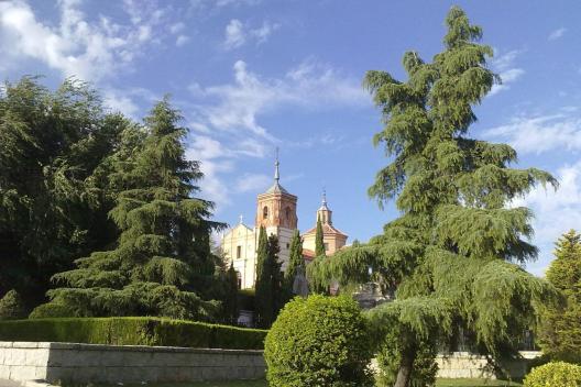Botox Getafe