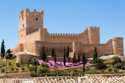 Fillers Villena