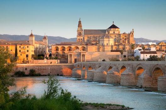 Fillers Cordoba