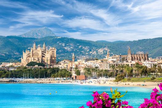 Fillers Palma
