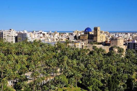Fillers Elche