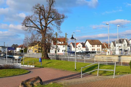 Botox Obertshausen