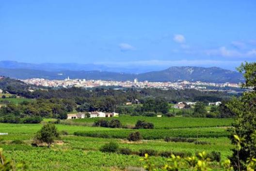 Botox Vilafranca-Del-Penedes