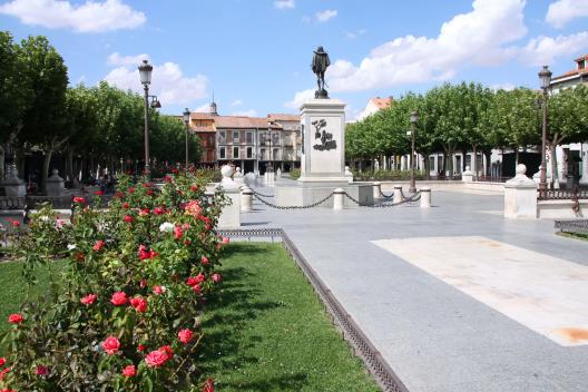 Fillers Alcala-De-Henares