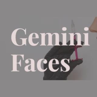 Gemini Faces