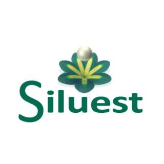 Cosmetic Surgery Clinic Siluest