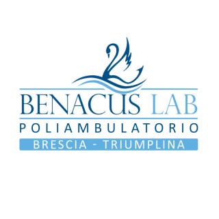 Benacus Lab - Brescia - Via Triumplina