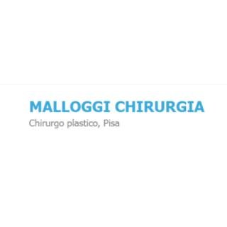 Dr. Stefano Malloggi
