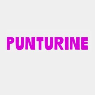 Punturine