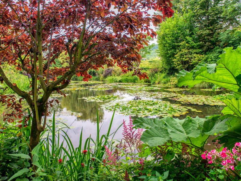 Giverny paysage