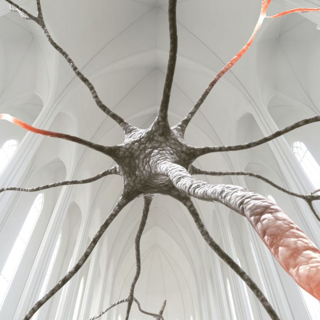 Digitales Netzwerktreffen