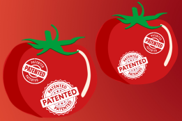 Daniel Khumalo/unsplash