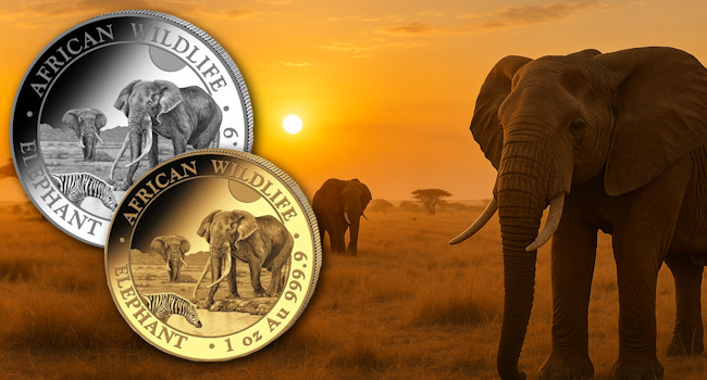 African Wildlife Elefant 2026 in Gold und Silber