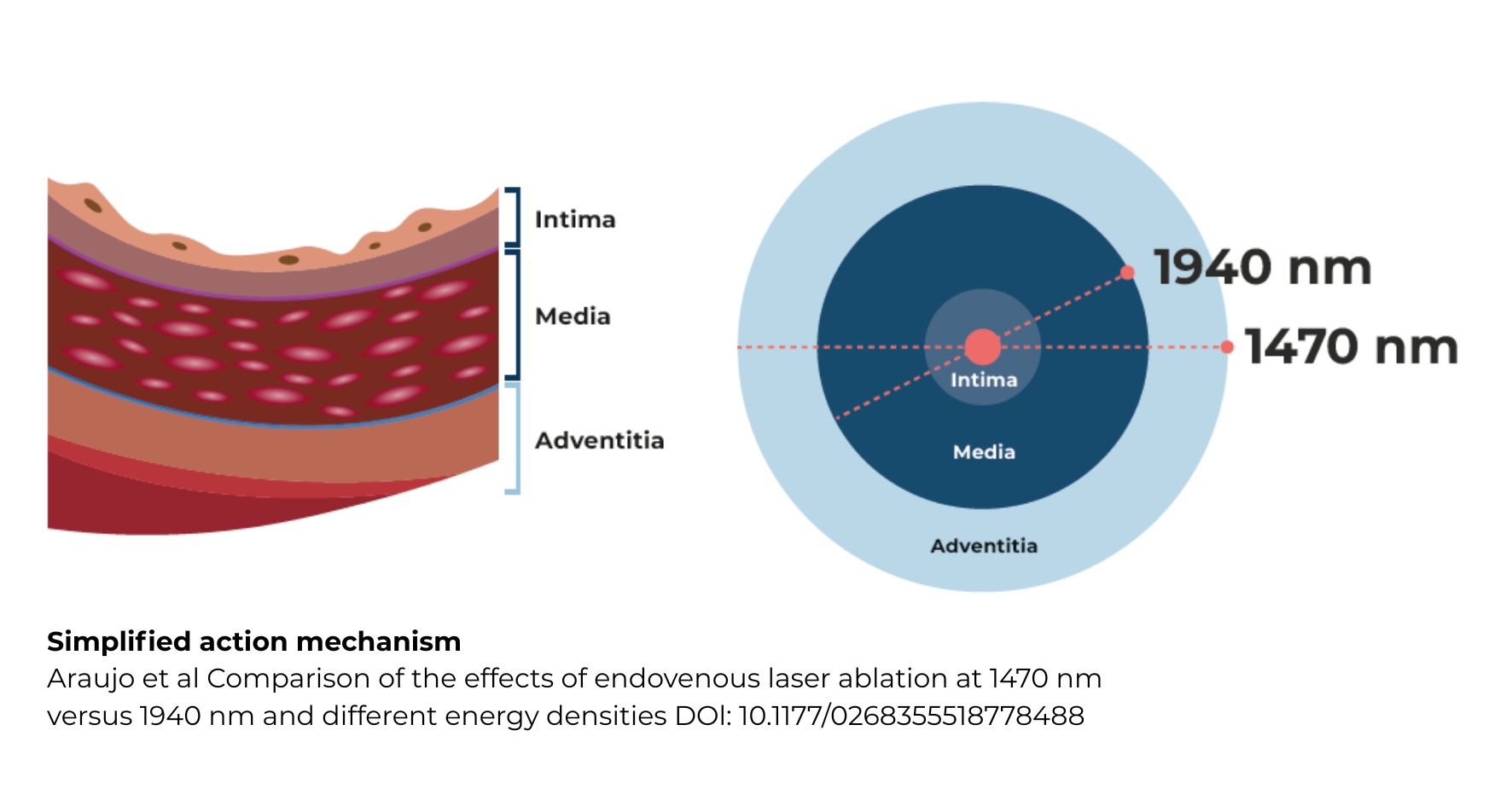 600 pixels wide image