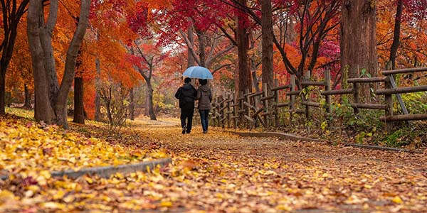 Frau sitzt vor Laptop und schreibt auf Papier.