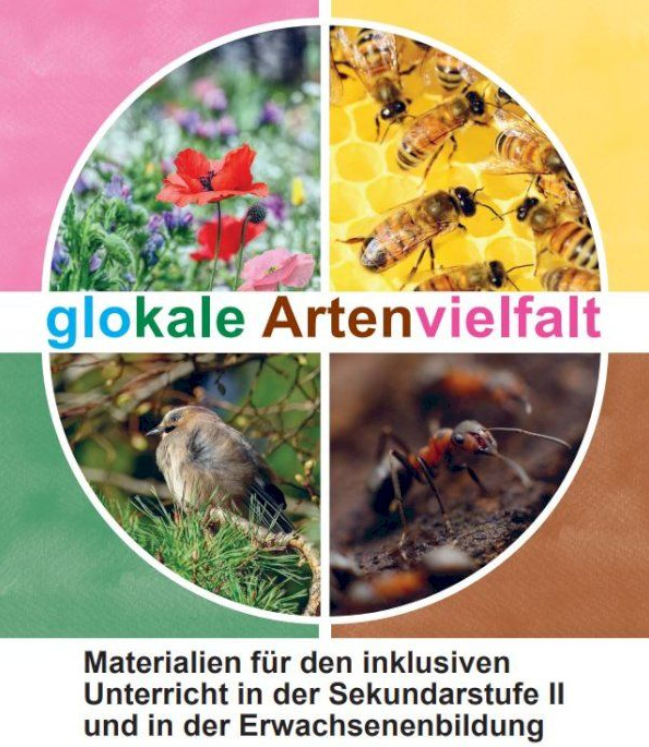 glokale Artenvielfalt. Bildrechte: bezev.