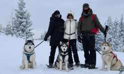 Husky-Schneeschuh-Abenteuer | Bergsport Schwanda Wien