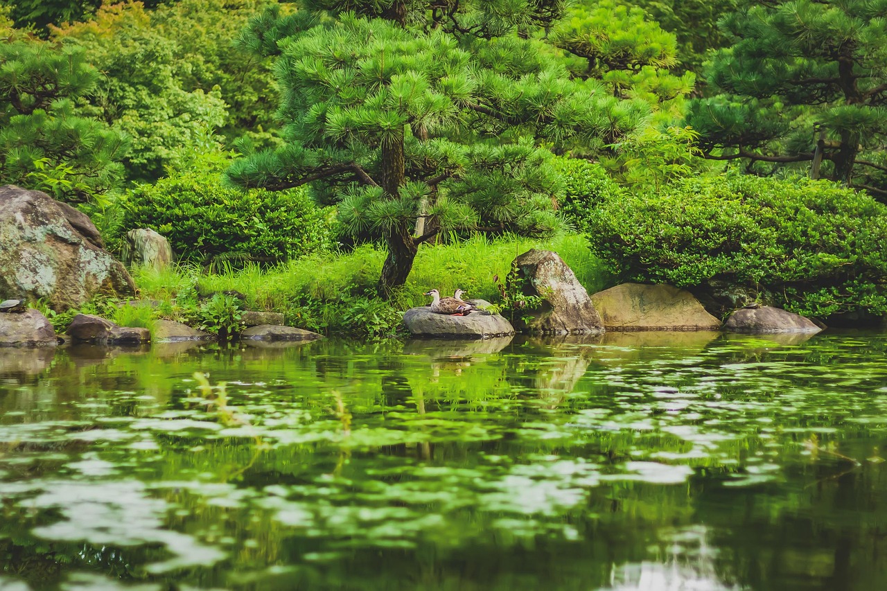 ©BluBonRelaXon_pixabay