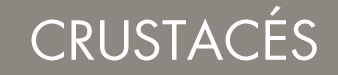 Crustacé