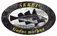 SKREI Logo