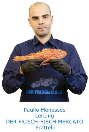 Paullo Menesses, Leitung in Pratteln