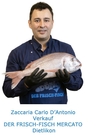 Zaccaria Carlo d'Antonio, Verkauf in Dietlikon