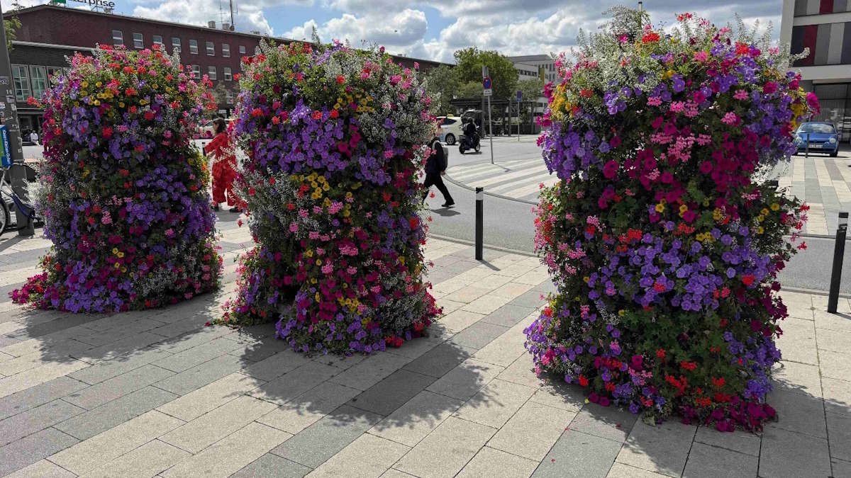 Flower and Shower, Stadtgrün