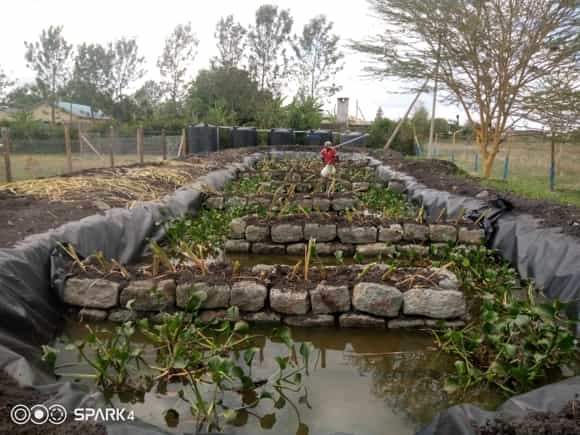 Klärteich an der MMSS