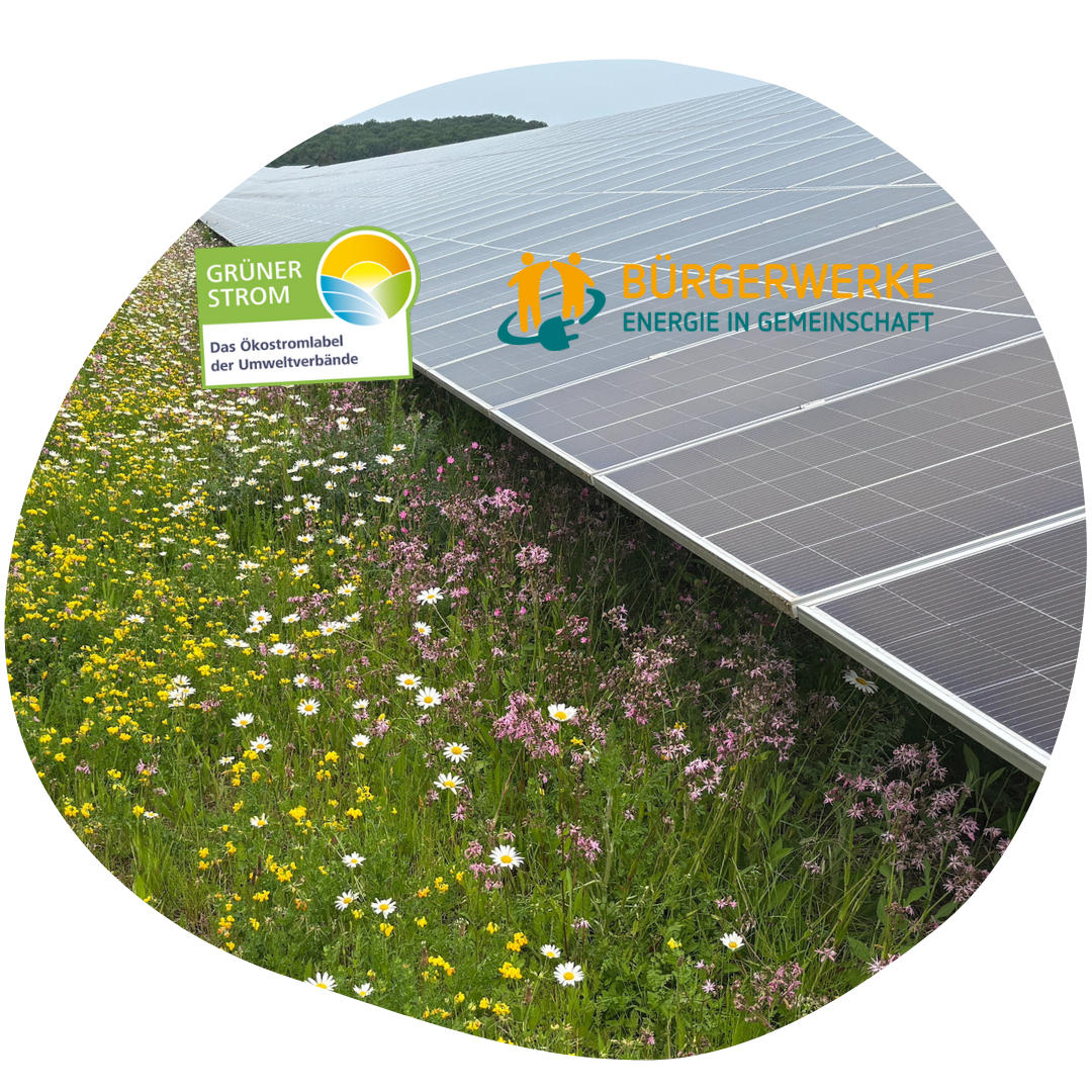 Solaranalage in Blumenwiese, 2 Logos der Projektpartner