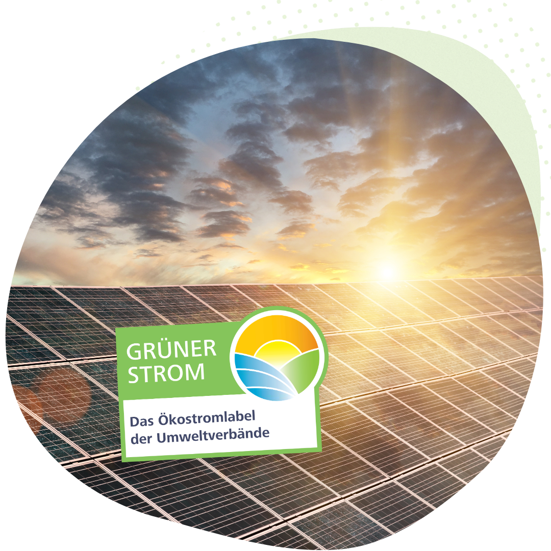 Solaranlage im Sonnenschein und Grüner Strom Logo