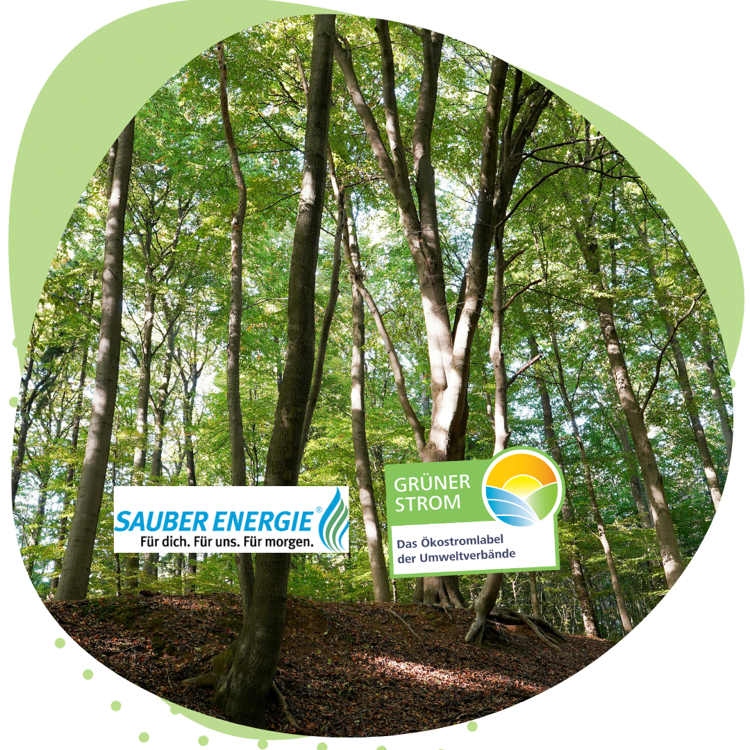 Logos Sauber Energie + Grüner Strom, im Hintergrund ein Wald 