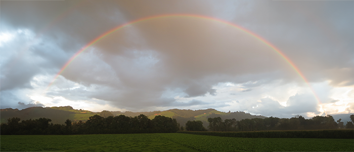 Ein Regenbogen steht über grünen Feldern, die ersten Sonnenstrahlen scheinen schon durch die Regenwolken.