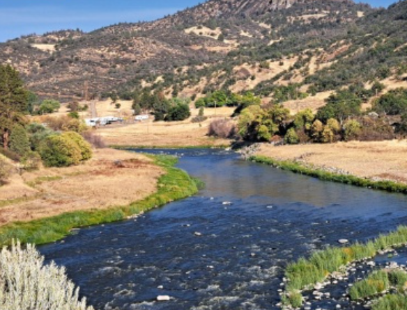 Das Bild zeigt einen wild fließenden Fluss mit sommerlicher und hügeliger Landschaft im Hintergrund
