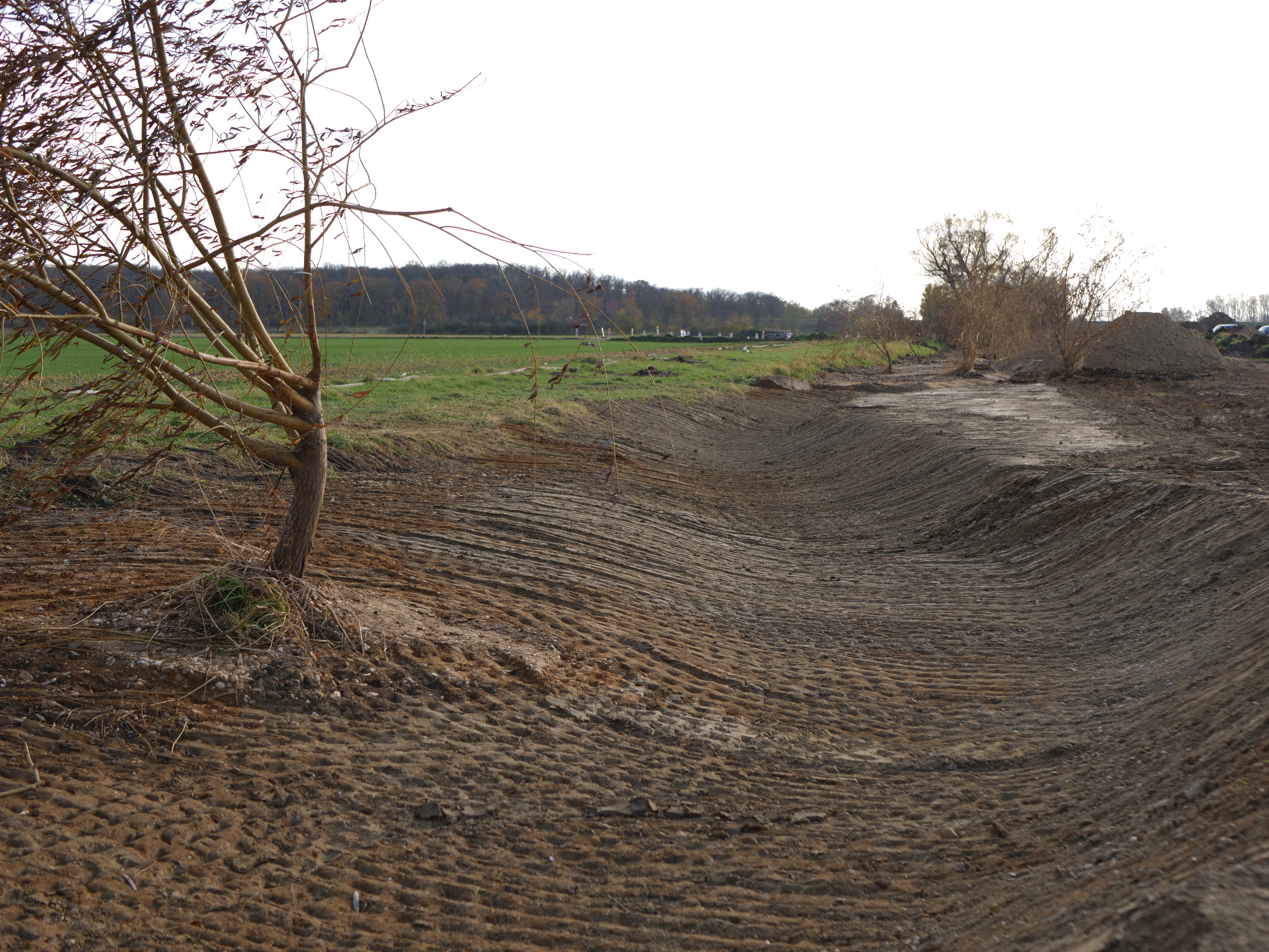 Das Bild zeigt die Konturen eines Flusslaufes, der aus dem Acker gehoben wird. Im linken Bildvordergrund steht ein kleiner Baum. Im Hintergrund ist ein Feld und ein Wald zu sehen. 