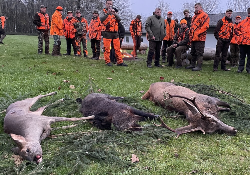 Gruppe von Jägerinnen und Jägern in orangefarbener Warnkleidung steht bei der Strecke, vor ihnen liegen erlegte Tiere – Reh, Wildschwein und vermutlich Hirsch – auf einer Wiese.