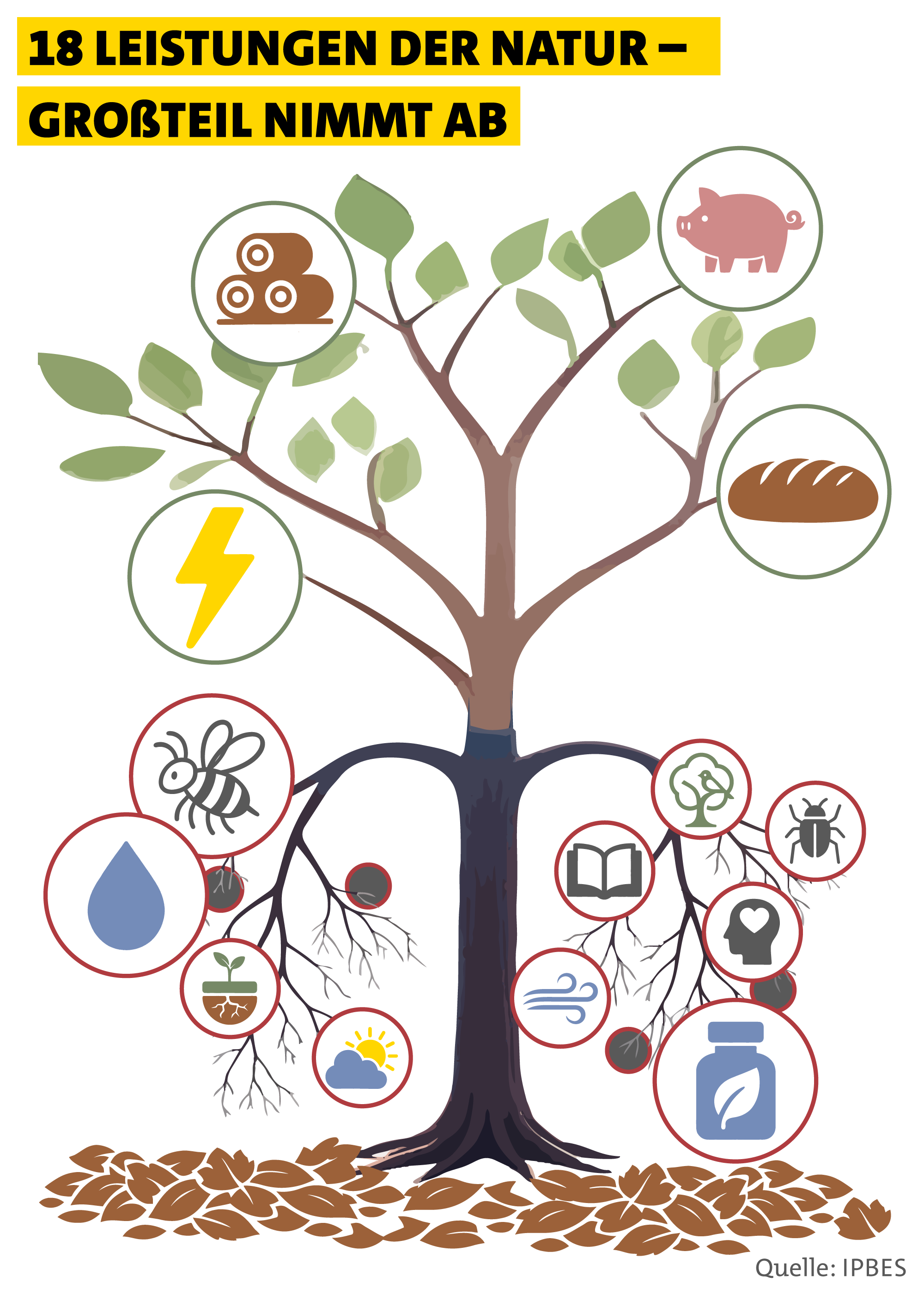 Die Grafik zeigt einen Baum, an dem wie Früchte verschiedene Symbole hängen. Die Symbole charakterisieren Leistungen der Natur. Oben wachsen Leistungen der Natur in die Höhe, die wachsen: wie etwa die Nahrungsproduktion. Unten hängen die Leistungen, die abnehmen: Medizinische Ressourcen, sauberes Wasser, Bestäuberinsekten.