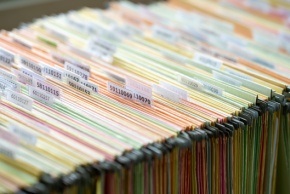 290 pixel image width