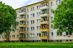 290 pixel image width