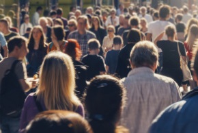 290 pixel image width