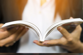 290 pixel image width