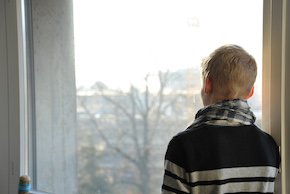 290 pixel image width